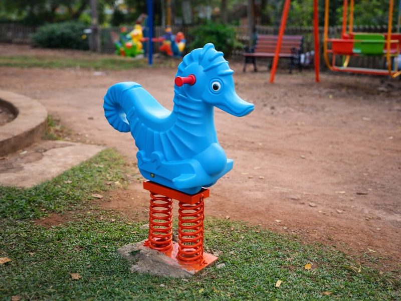 Spring rocker sea horse Playground Equipment